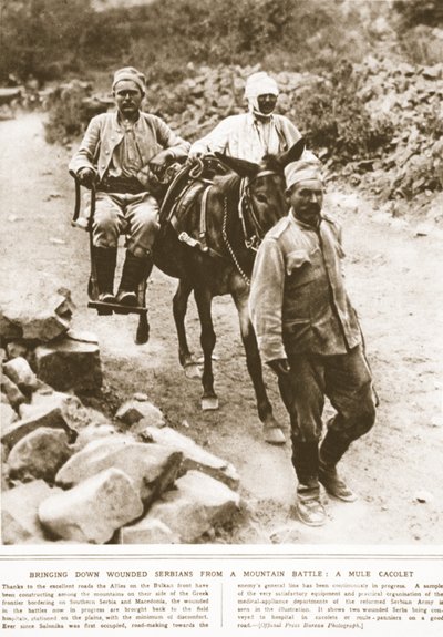 Verwundete Serben von einer Bergschlacht herunterbringen: ein Maultier-Cacolet, Illustration aus The Illustrated War News, September 1916 von English Photographer